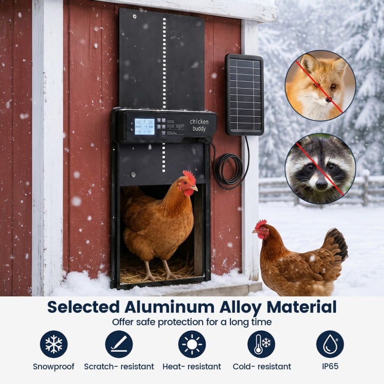 Solar powered automatic chicken coop door made of aluminum alloy, featuring a clear display and anti-pinch function for poultry safety.