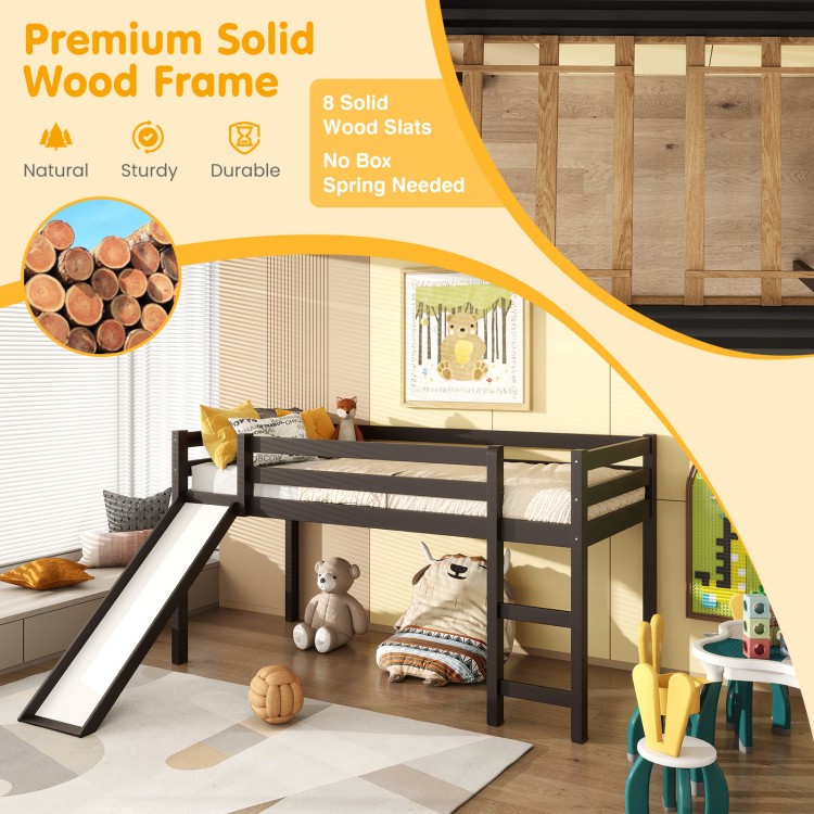 Twin size low sturdy loft bed with slide in dark brown wood, featuring guardrails and wide ladder for children's safety.