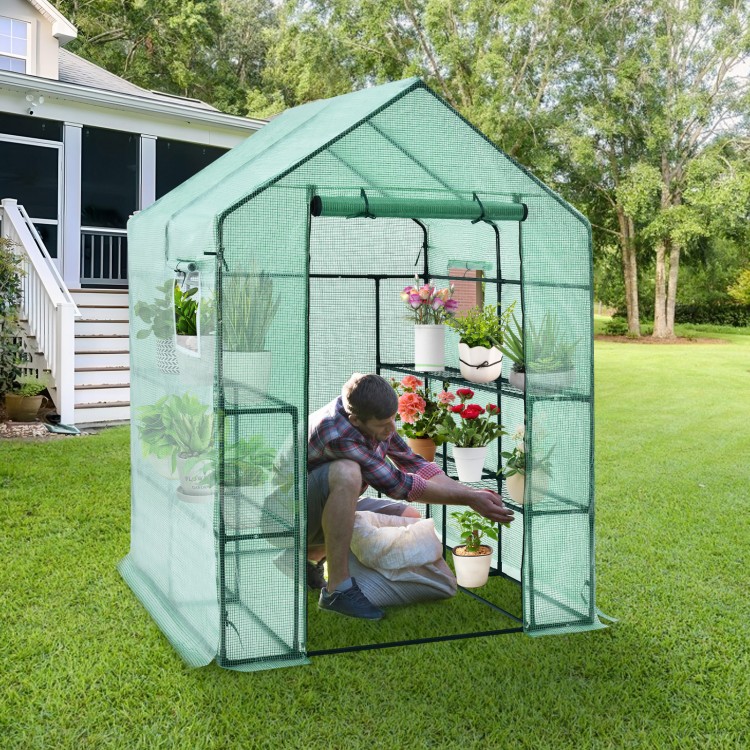 Walk-in greenhouse with observation windows, featuring 8 shelves for plants, made of PE material for year-round use.