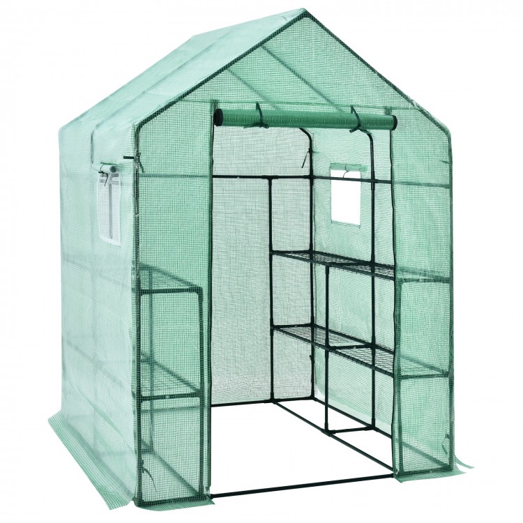Walk-in greenhouse with observation windows, 56 x 56 x 77 inches, featuring a roll-up door and eight shelves for plants.