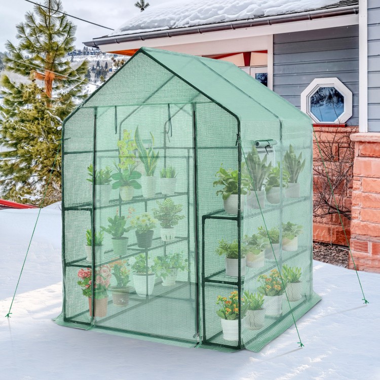 Walk-in greenhouse with observation windows, made of PE material, featuring 8 shelves for plants, ideal for gardening.