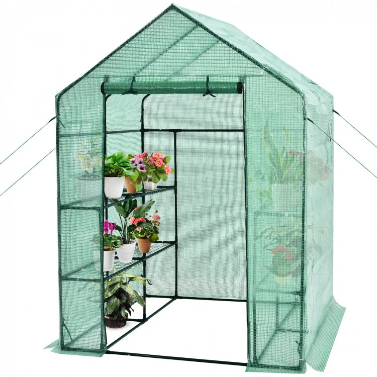 Walk-in greenhouse with roll-up door and observation windows, designed for stability, featuring a lightweight coated.