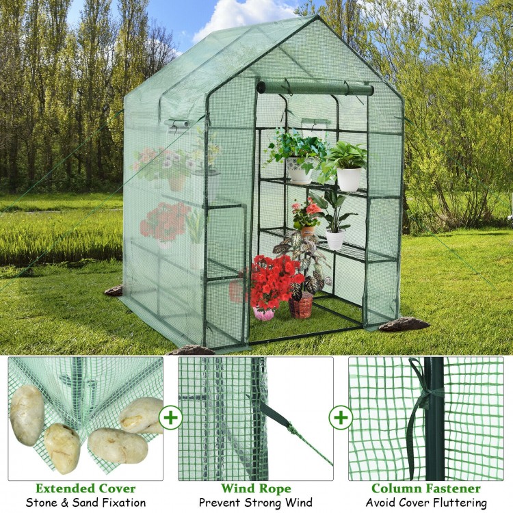 Walk-in greenhouse with observation windows, made of PE material, featuring 8 shelves for plants and a roll-up zipper.