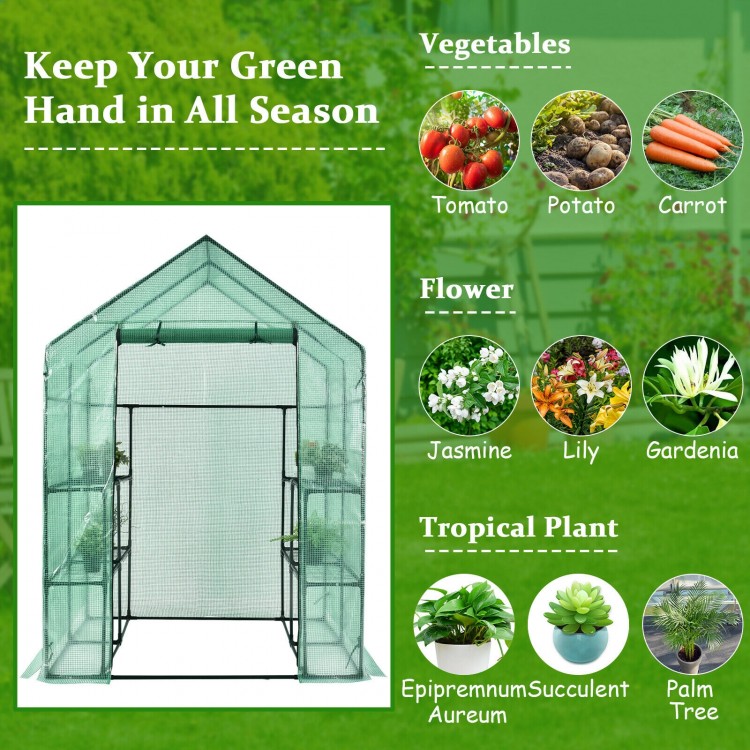 Walk-in greenhouse with observation windows, made of PE material, featuring a roll-up door and 8 shelves for gardening.