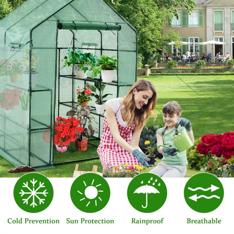 Walk-in greenhouse with breathable PE material, featuring observation windows and a spacious interior for various.