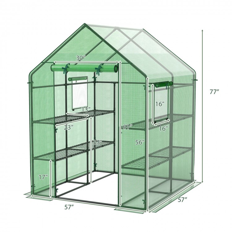 Walk-in greenhouse with observation windows, 56 x 56 x 77 inches, featuring 8 shelves for plants and a roll-up door.