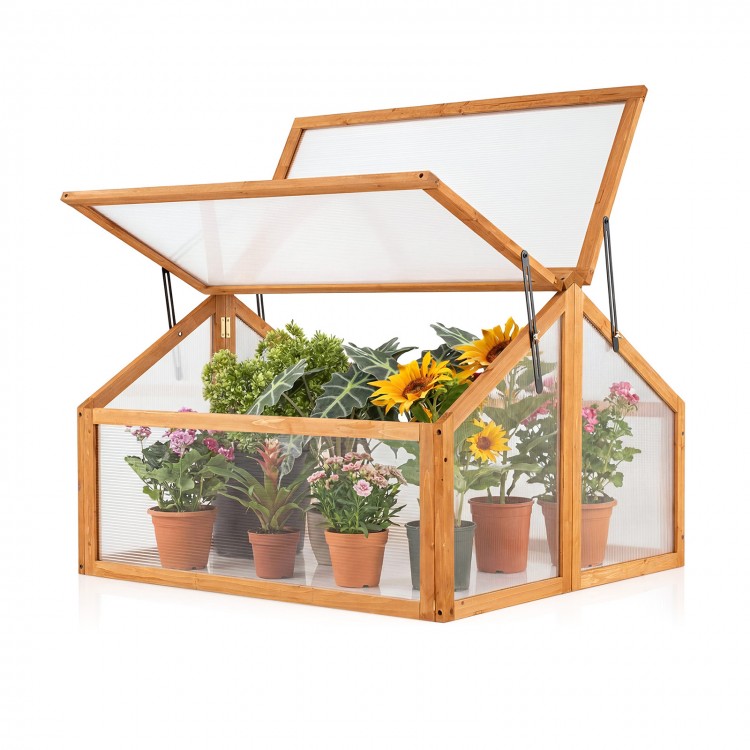 Wood cold frame greenhouse with transparent roof, featuring adjustable vents for airflow and natural fir wood frame.