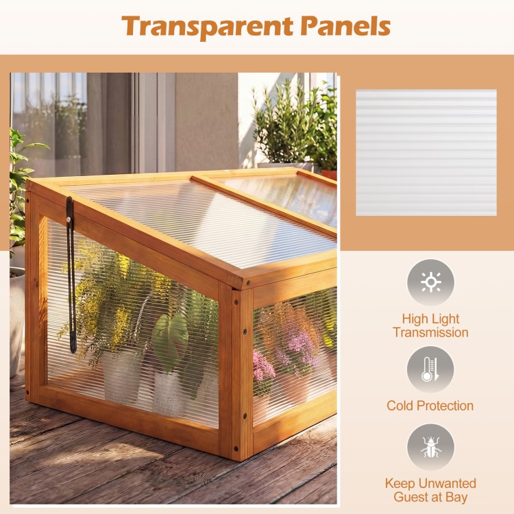 Wood cold frame greenhouse with transparent polycarbonate panels for high light transmission and plant protection.