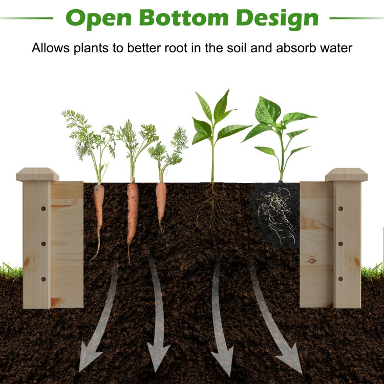 Open bottom design of the wooden vegetable raised garden bed enhances root growth and water absorption for healthy.