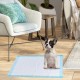 Pet wee pee pad on floor with a French Bulldog, ideal for training and protecting surfaces from pet excreta.