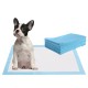 Pet wee pee pad with a French Bulldog, featuring soft non-woven fabric and advanced absorbent paper for training.