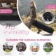 Foldable 10 x 10 feet pink pop-up canopy with roller bag, ideal for outdoor events, camping, and family gatherings.