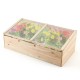 Wooden garden portable greenhouse with transparent PVC lid, perfect for growing flowers and plants in any outdoor space.