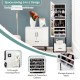 Jewelry cabinet with full-length mirror, large storage, and lockable drawer, perfect for space-saving organization.