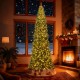 12 ft tall prelit artificial Christmas tree with 2536 PVC branch tips, glowing LED lights, perfect for festive indoor.