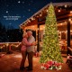 12 ft tall prelit artificial Christmas tree with 2536 branch tips, perfect for festive indoor or outdoor holiday decor.