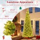 12-foot prelit artificial Christmas tree with 2517 branch tips and 800 LED lights, perfect for indoor or outdoor.