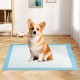 Corgi sitting on a 24 x 36 inch pet wee pee pad, made of soft non-woven fabric for effective training and cleanliness.