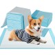 Corgi on a 24 x 36 inch pet wee pad, featuring soft non-woven fabric and advanced absorbent paper for training.