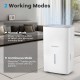 150 pints dehumidifier in white with LED display, showcasing normal and continuous modes for customized humidity.