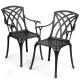 Set of two durable aluminum dining chairs with armrests, featuring ergonomic design and weather-resistant finish for.