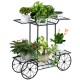 6-tier garden cart flower rack in black, showcasing potted plants, ideal for indoor and outdoor decor.
