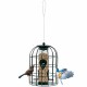 Caged tube wild bird feeder with metal seed guard, featuring four feeding ports for small birds, ideal for outdoor use.