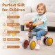 Baby balance bike with a cute horse head design, lightweight carbon steel frame, and EVA foam wheels for kids' safety.