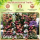 Outdoor wooden raised garden bed with trellis, designed for climbing plants and hanging flower baskets, perfect for.