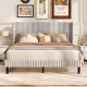 Queen size velvet bed frame with vertical channel tufted wingback headboard in white, ideal for modern bedroom decor.