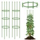 Set of two green garden trellis tomato cages with adjustable height for supporting climbing plants and enhancing.