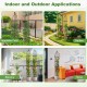 Two black garden obelisk trellises for climbing plants, featuring sturdy metal construction and decorative heads for.