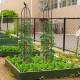 Two black garden obelisk trellises supporting climbing plants, ideal for vegetables and flowers, in a raised garden bed.