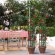 Two black garden obelisk trellises with climbing red roses, ideal for supporting various plants in outdoor settings.
