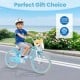 20-inch kids bike in blue with adjustable seat, dual brakes, and removable basket for safe and fun riding.