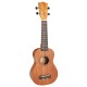 21-inch soprano mahogany ukulele with nylon strings, 12 frets, and decorative sound hole, perfect for beginners.