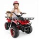 Red 24V electric ride-on quad with LED headlights, featuring a child and dog, designed for backyard fun and adventure.
