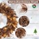 24-inch pre-lit Christmas wreath with 105 branch tips, 35 warm white LED lights, and natural pine cones for festive.