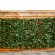 Faux ivy leaf decorative privacy fence, 40 x 95 inches, ideal for indoor/outdoor use, adds privacy and greenery.