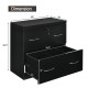 2-drawer black file cabinet with lock, dimensions 29"x16"x28.5", ideal for letter and legal size documents.
