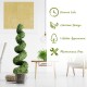 4 feet artificial boxwood spiral tree with green leaves, maintenance-free design, perfect for indoor and outdoor.