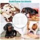 Freestanding 36-inch white wooden pet gate with flexible hinges, ideal for small to medium dogs and easy to store.
