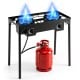 Two-burner propane stove with adjustable regulator and hose, delivering 160,000 BTU for outdoor cooking and camping.