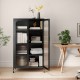 Black 2-door metal storage cabinet with adjustable shelves, featuring semi-transparent doors and lockable casters for.