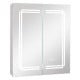 Double-sided bathroom mirror cabinet with lights, adjustable shelves, anti-fog, and soft-closing hinges for easy use.