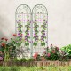 Green metal garden trellis set with climbing plants, 71 x 20 inches, rustproof support for outdoor gardens.