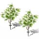 Two 39-inch artificial locust flower trees with white blooms and sturdy ground spikes, perfect for outdoor decoration.