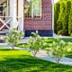 Artificial locust flower trees with realistic white flowers, 39 inches tall, perfect for enhancing outdoor spaces.