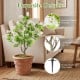 Artificial locust flower tree with realistic flowers, lifelike trunk texture, and sturdy aluminum spike for easy.