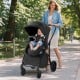 2-in-1 baby stroller in black with adjustable canopy, reversible seat, and large storage basket for easy transport.